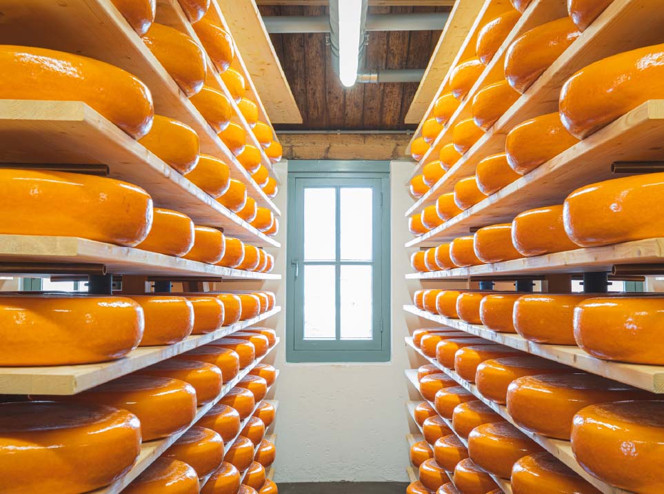 Cheese Experience Woerden - Kaaspakhuis Woerden - Kom eens langs